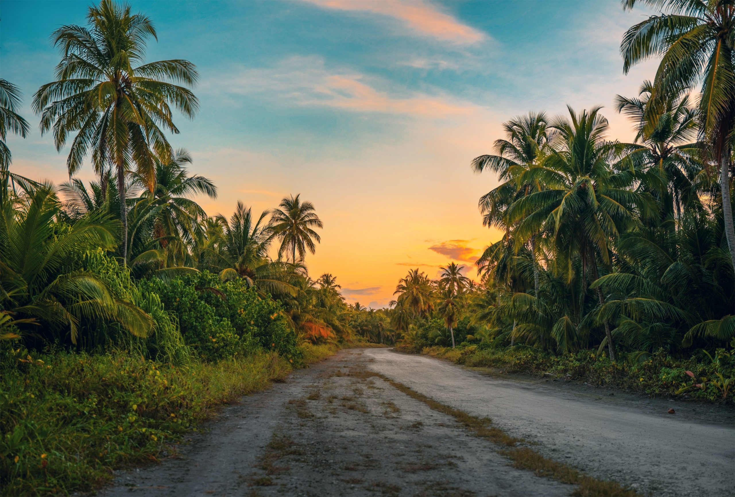 Explore Mekong Delta’s Culture in Walking Tour