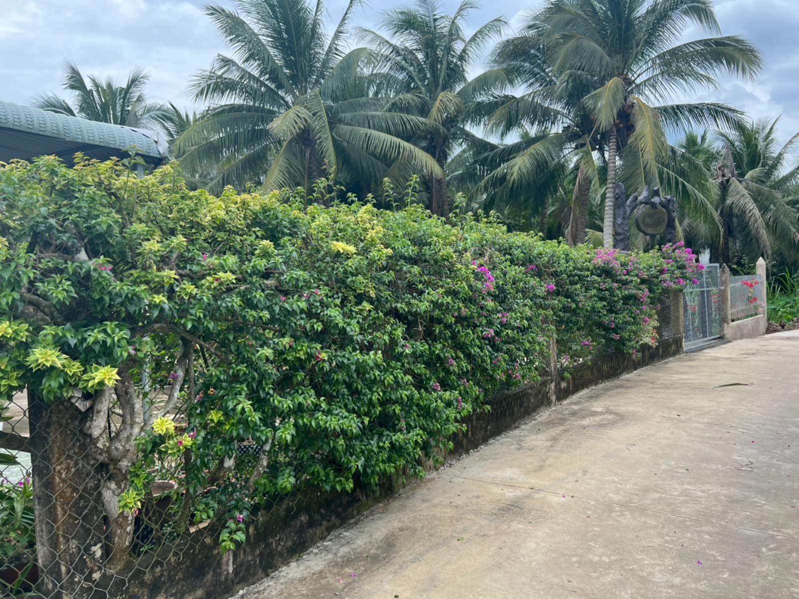 Explore Mekong Delta’s Culture in Walking Tour