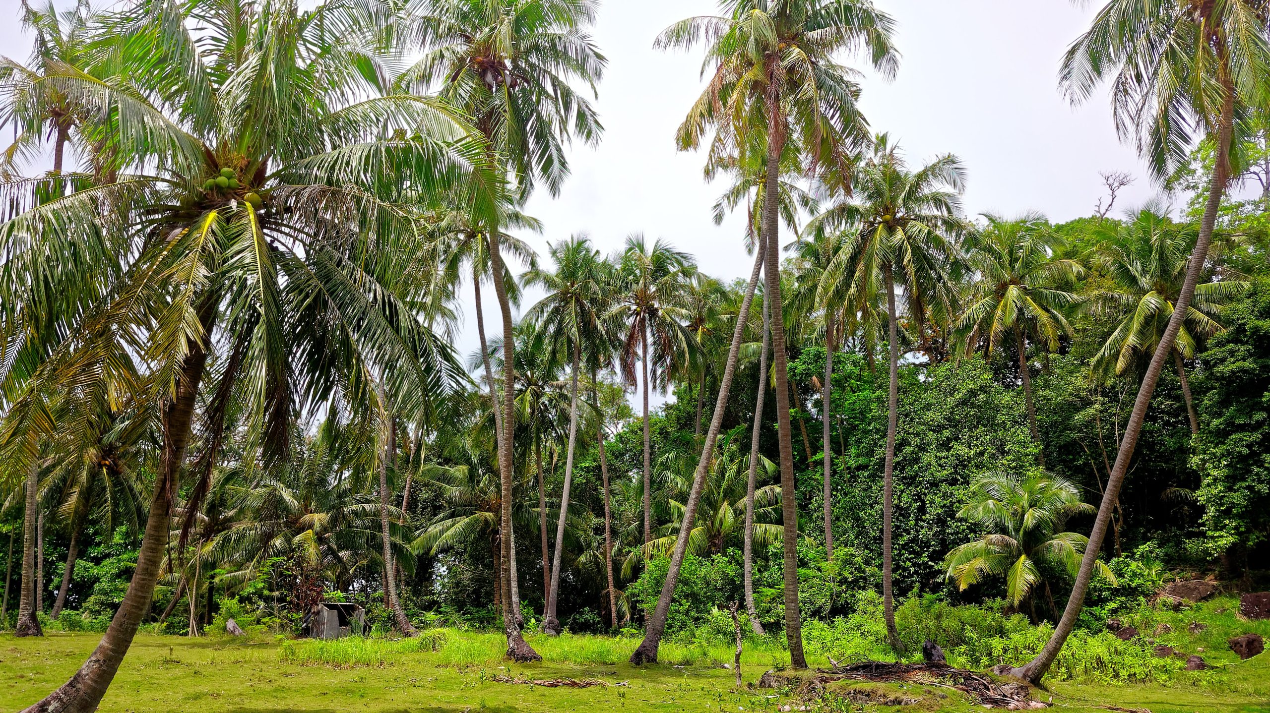 Explore Ben Tre Trekking Tours