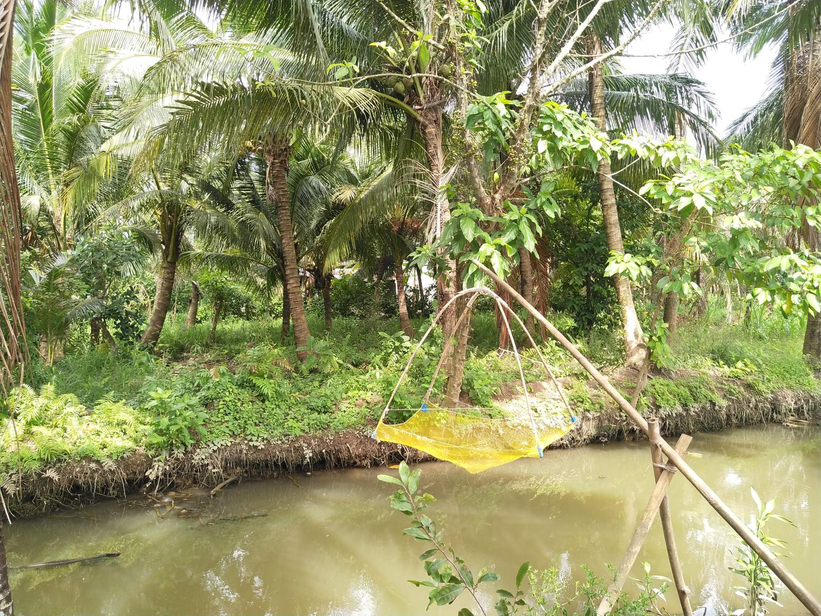 Mekong Essence Ecotour
