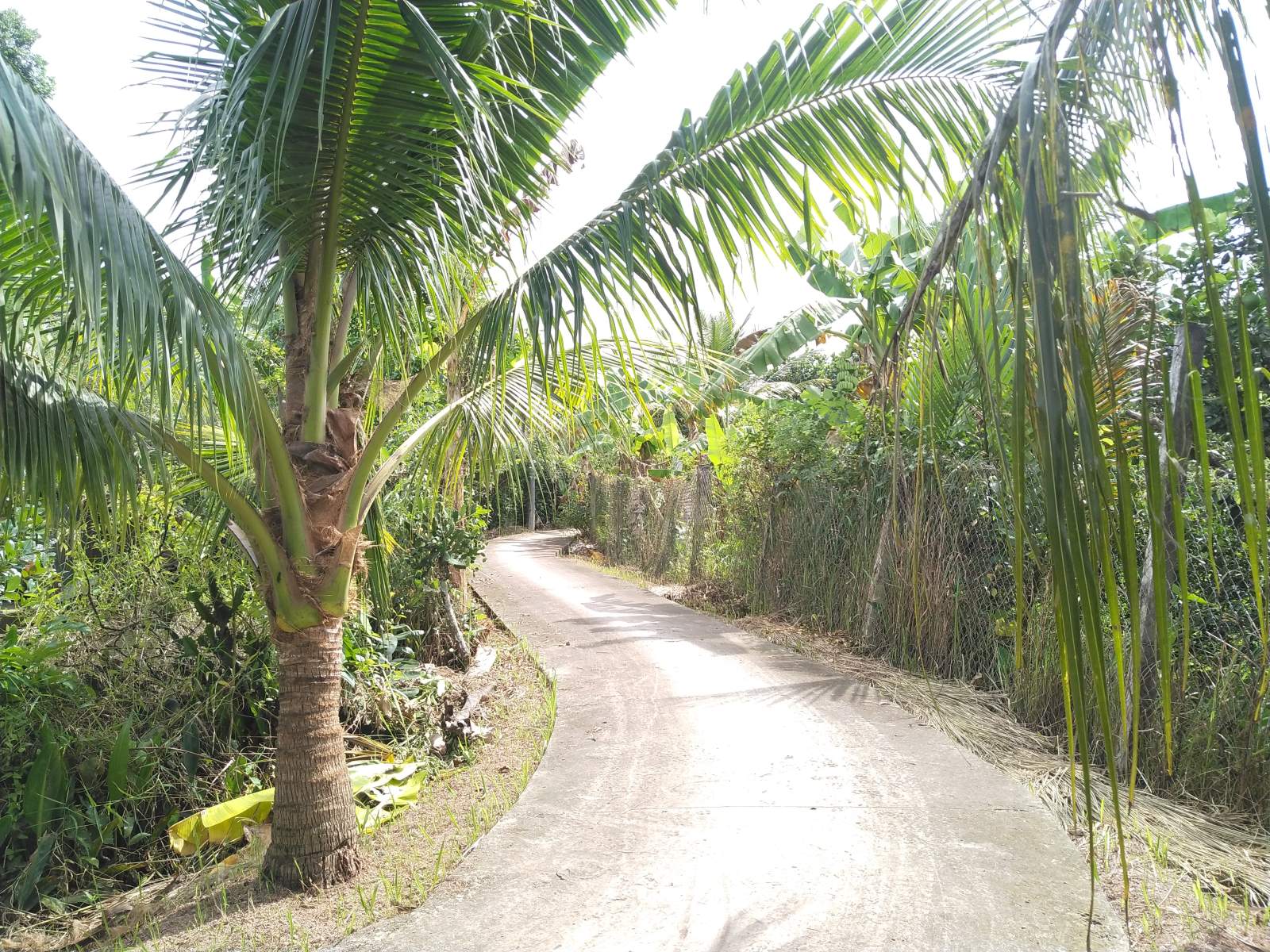 Mekong Essence Ecotour