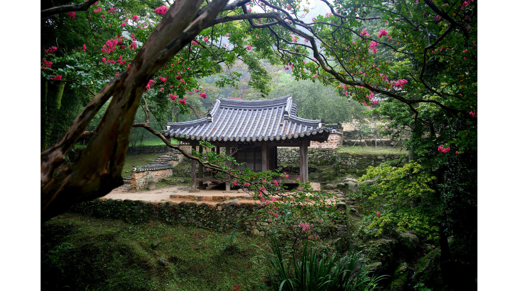 Wellness & Healing Tours